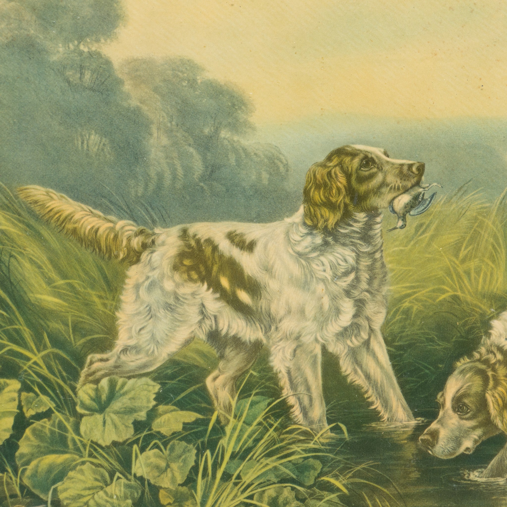 Retrieving by A.F. Tait