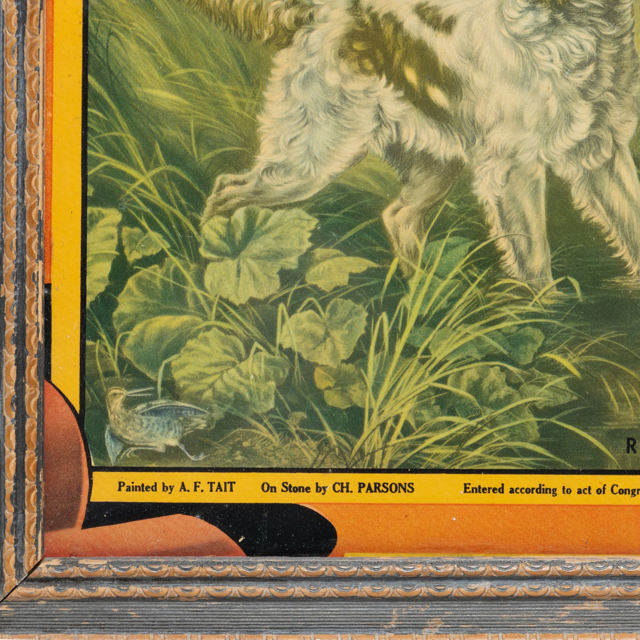 Retrieving by A.F. Tait