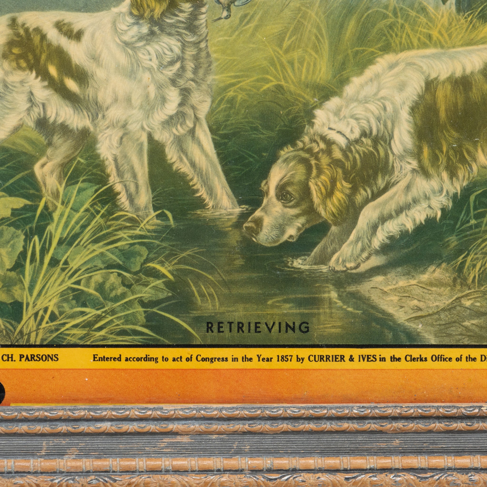 Retrieving by A.F. Tait