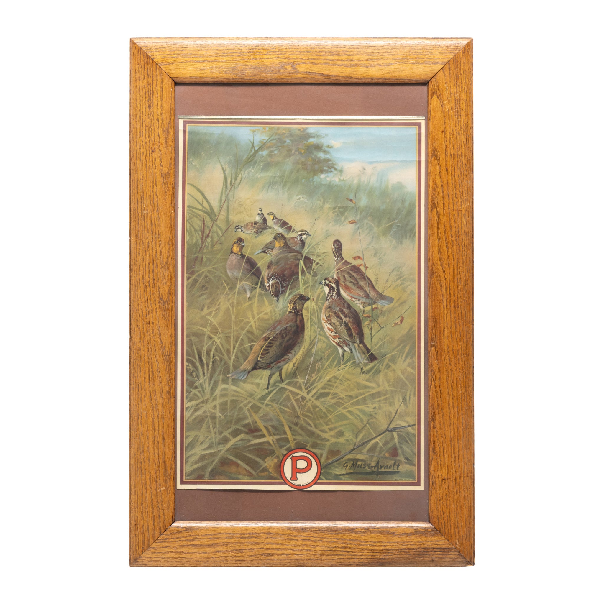 Peters Calendar Top, Sporting Goods, Advertising, Calendar
