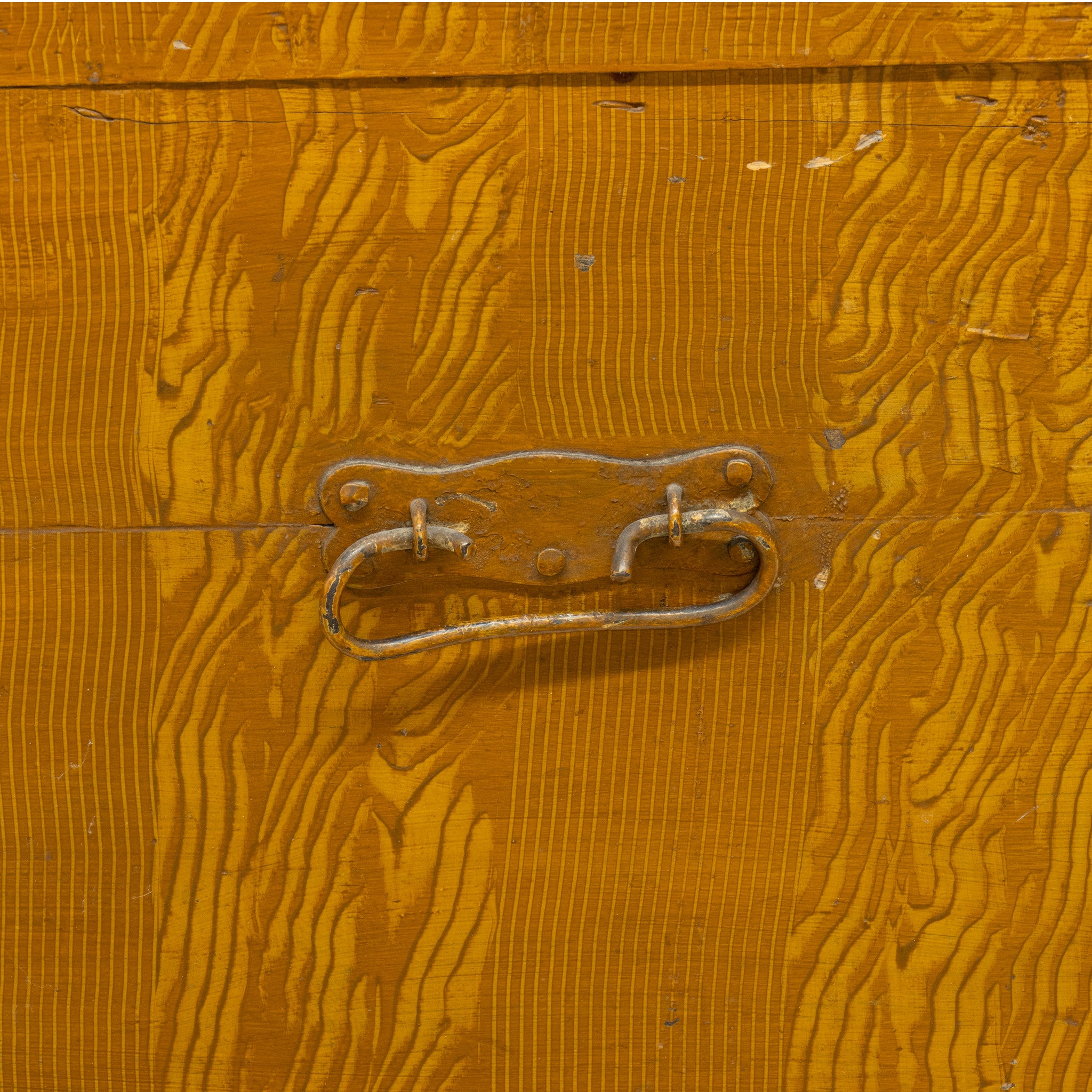 Grain Painted Dome Trunk