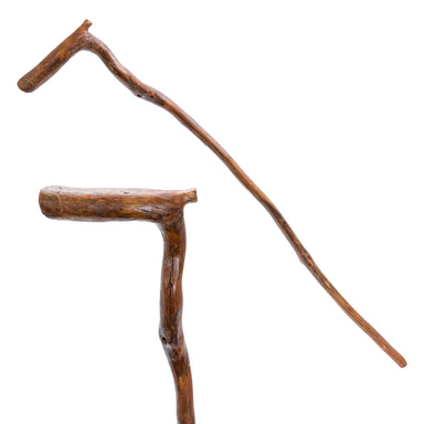 Folk Art Cane, Furnishings, Decor, Cane