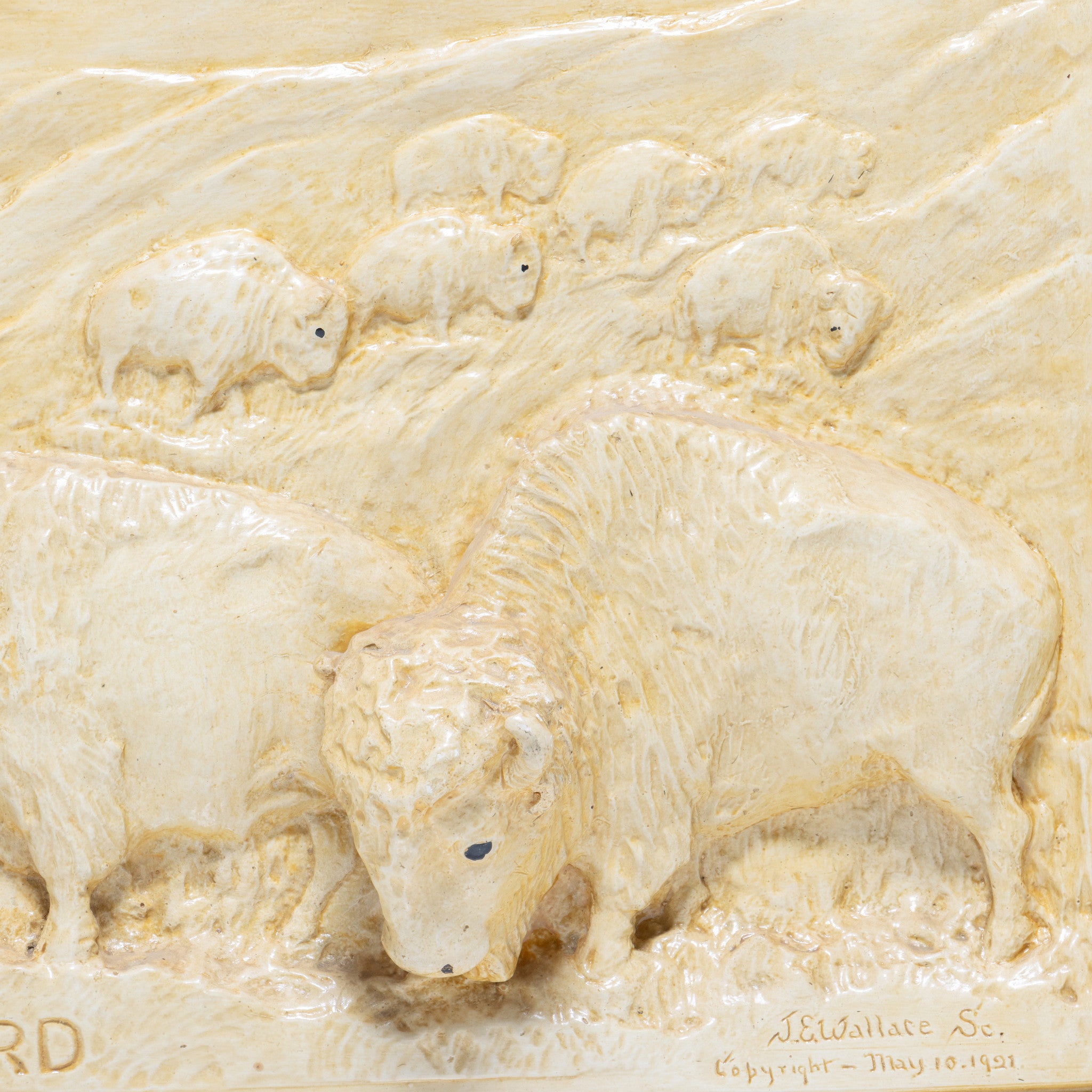 The Last Herd by J.E. Wallace