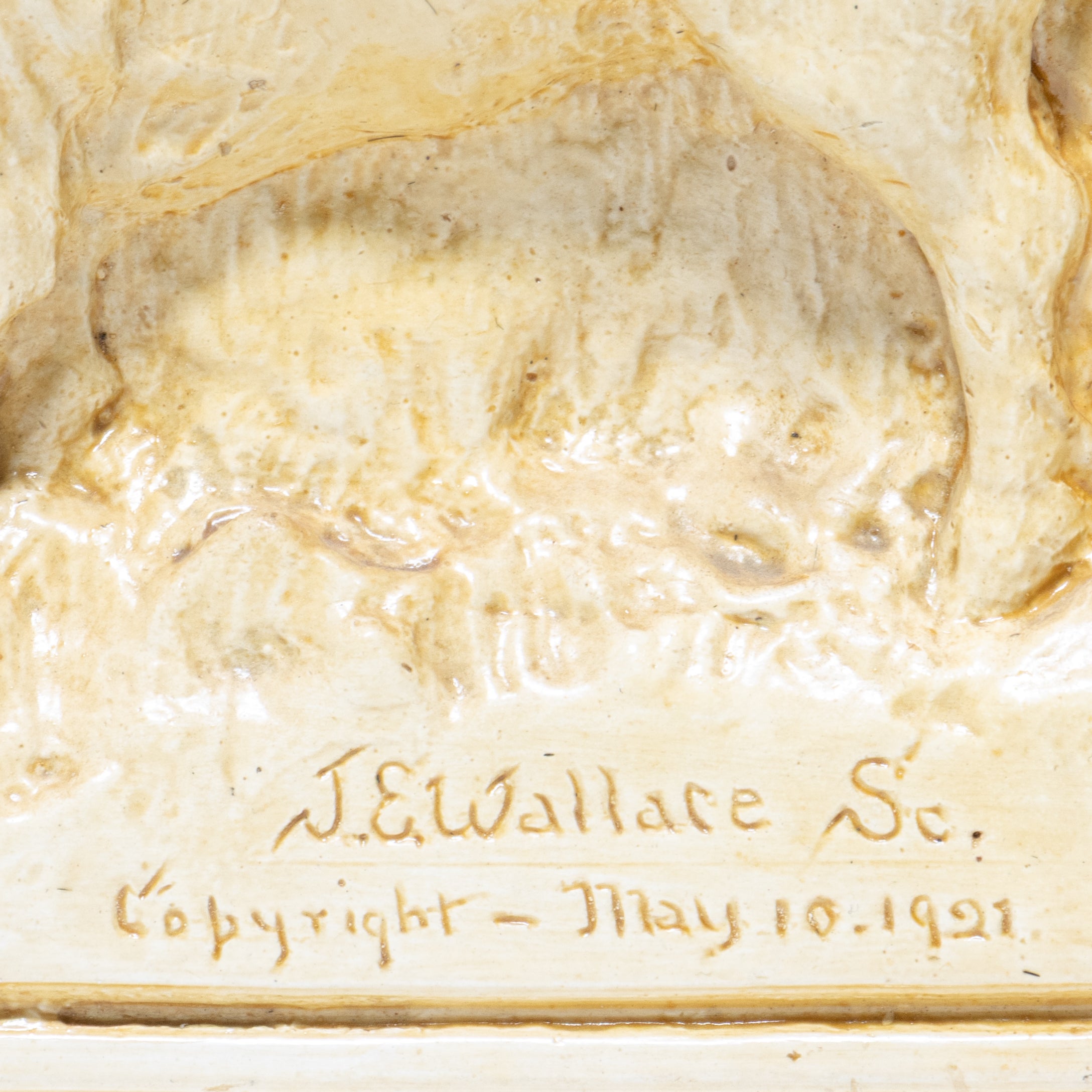 The Last Herd by J.E. Wallace