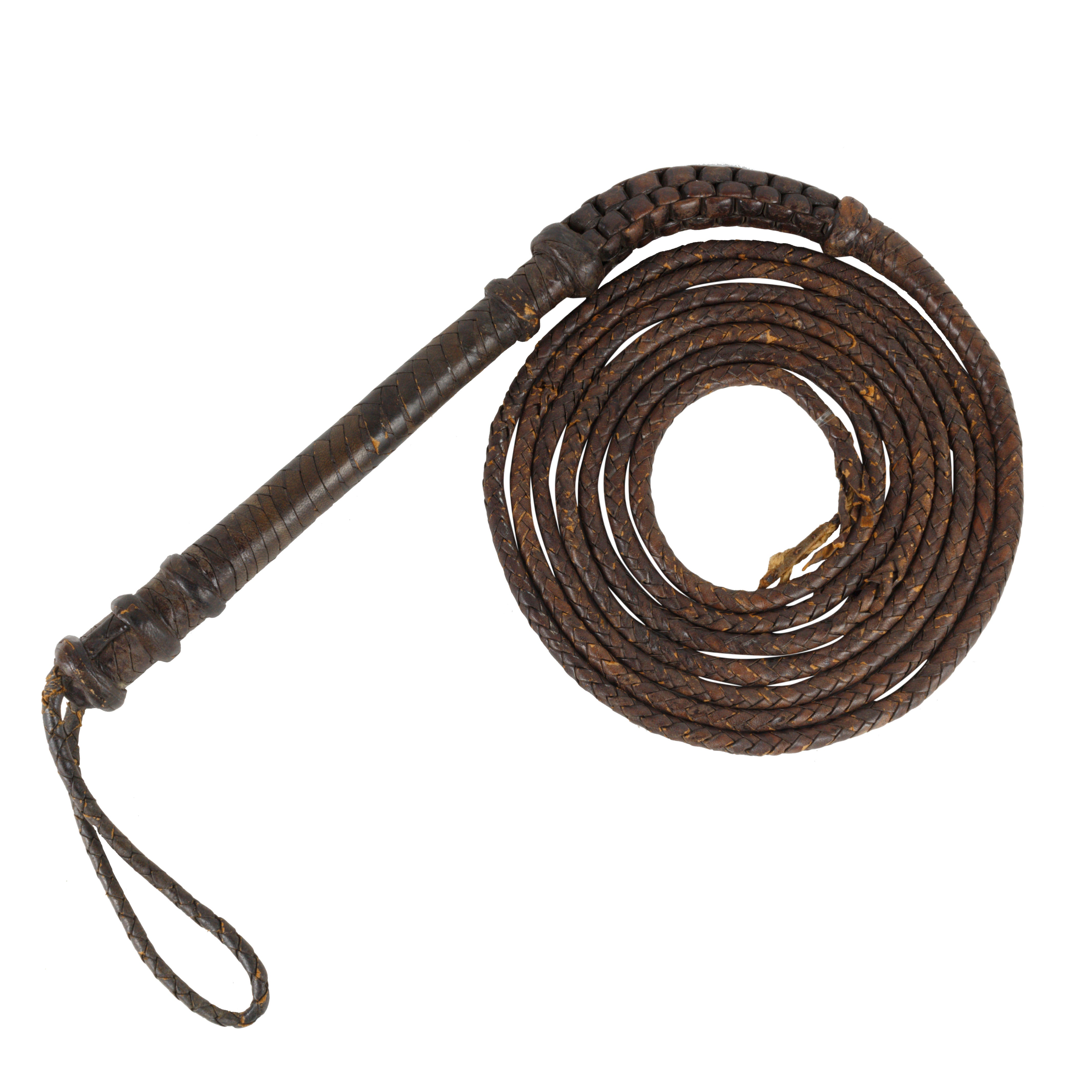 Drover's Bull Whip