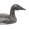 Canvasback Decoy