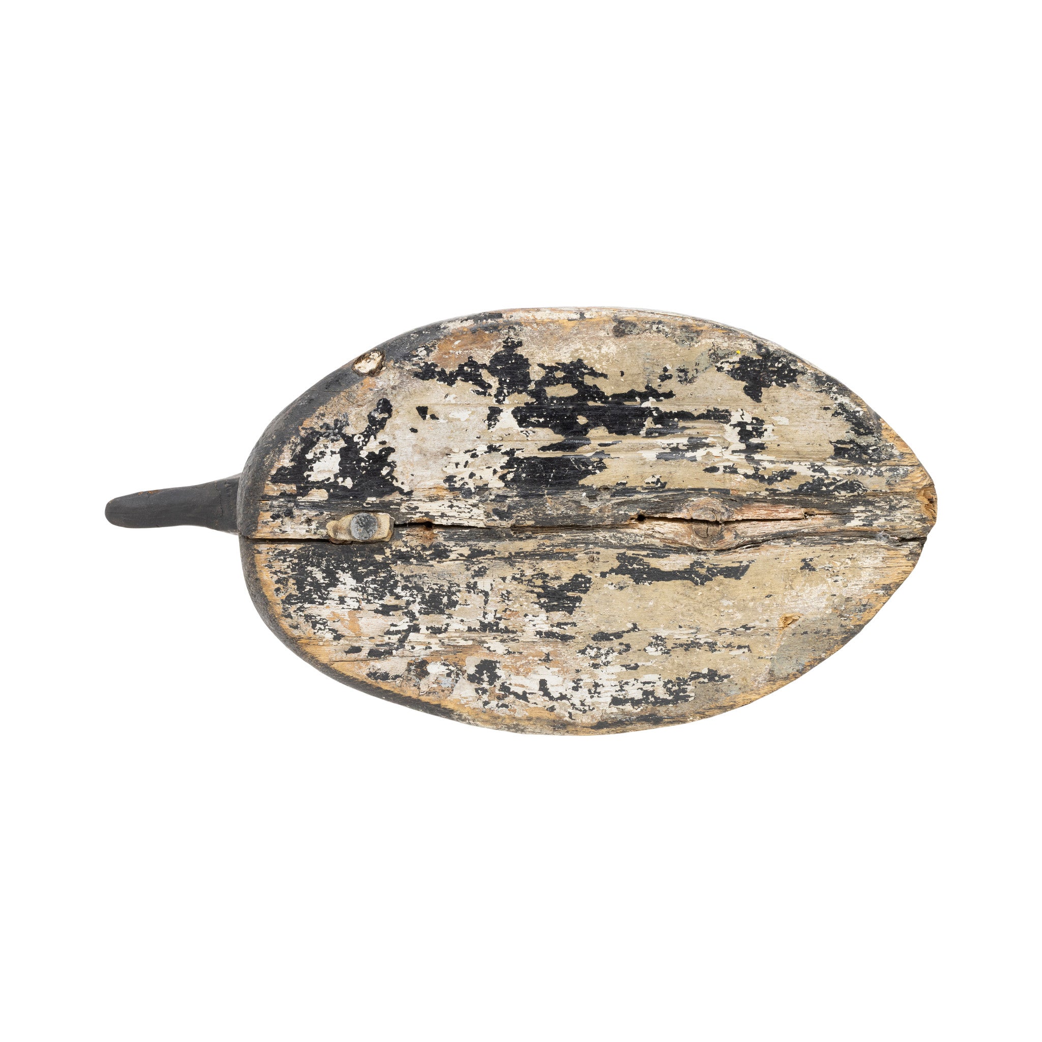 Canvasback Decoy