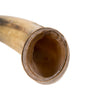 Steer Drinking Horn