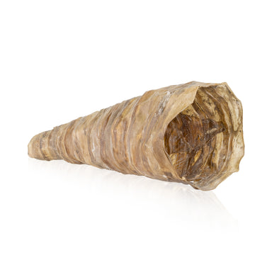Cree Moose Call, Native, Birch Bark, Moose Call