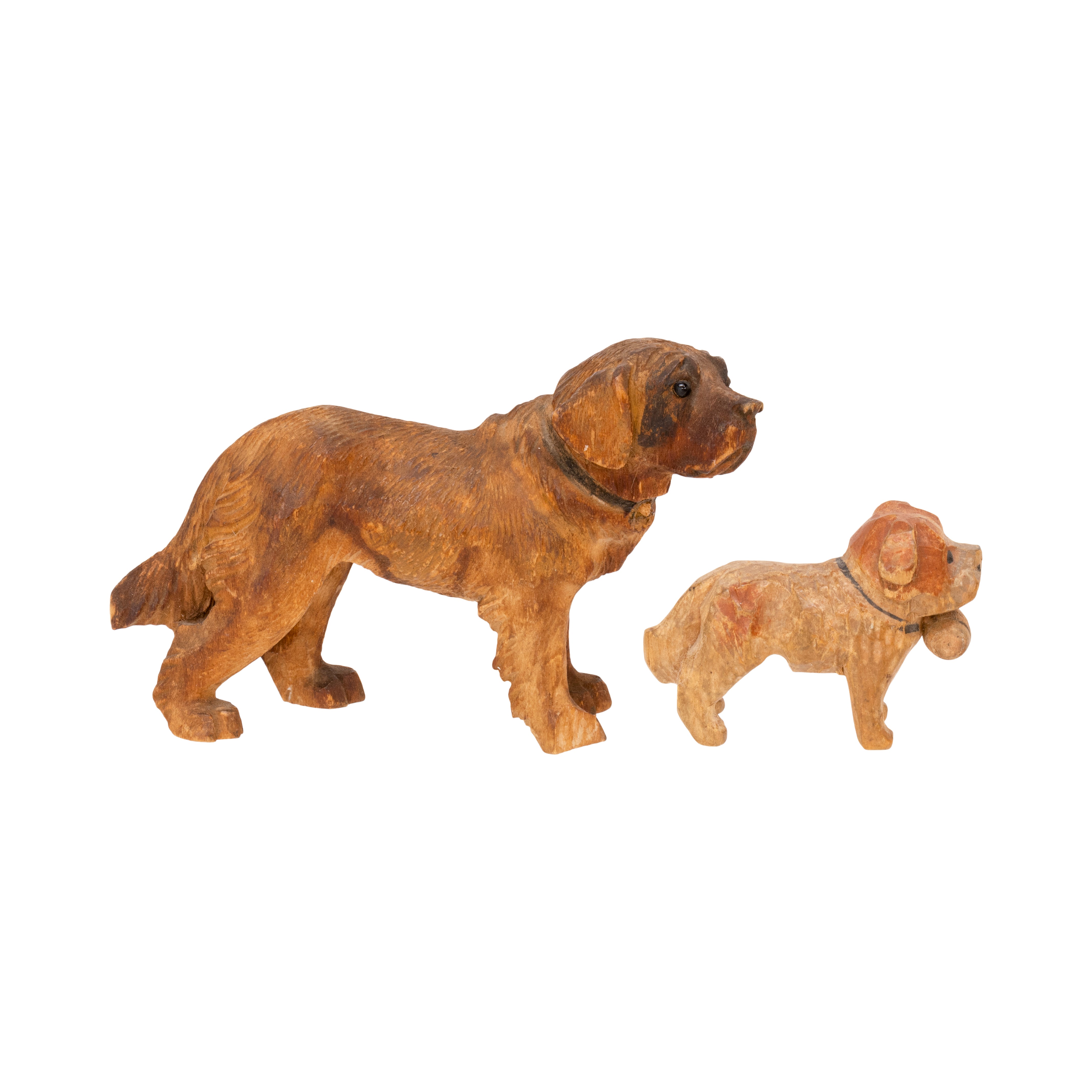 Black Forest Saint Bernards