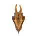 Roe Deer Plaque, Furnishings, Taxidermy, Deer