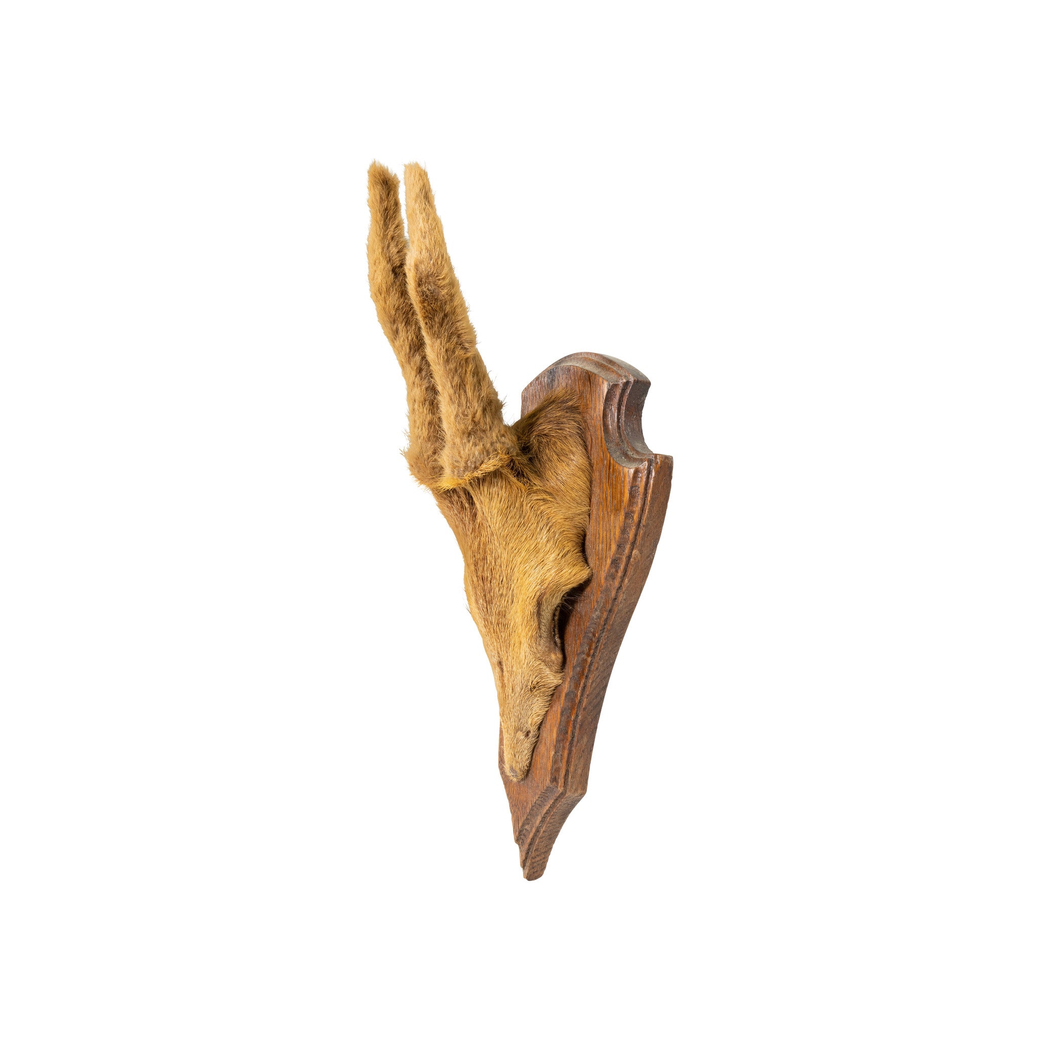 Roe Deer Plaque