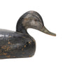 Eastern Black Duck Decoy