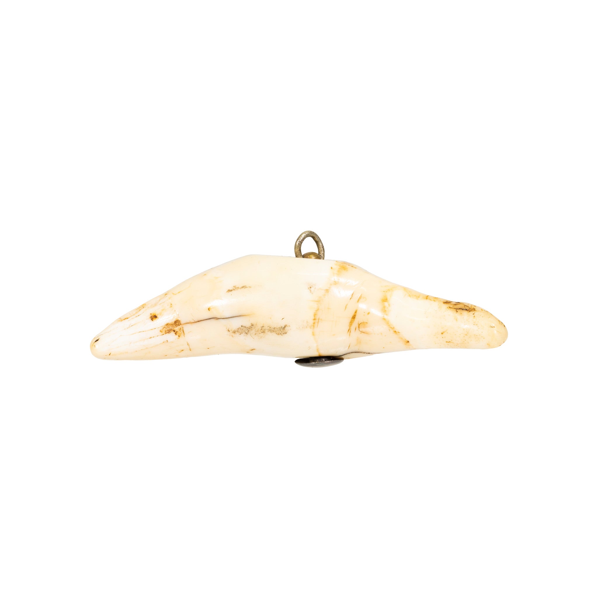 Polar Bear Tooth Toggle