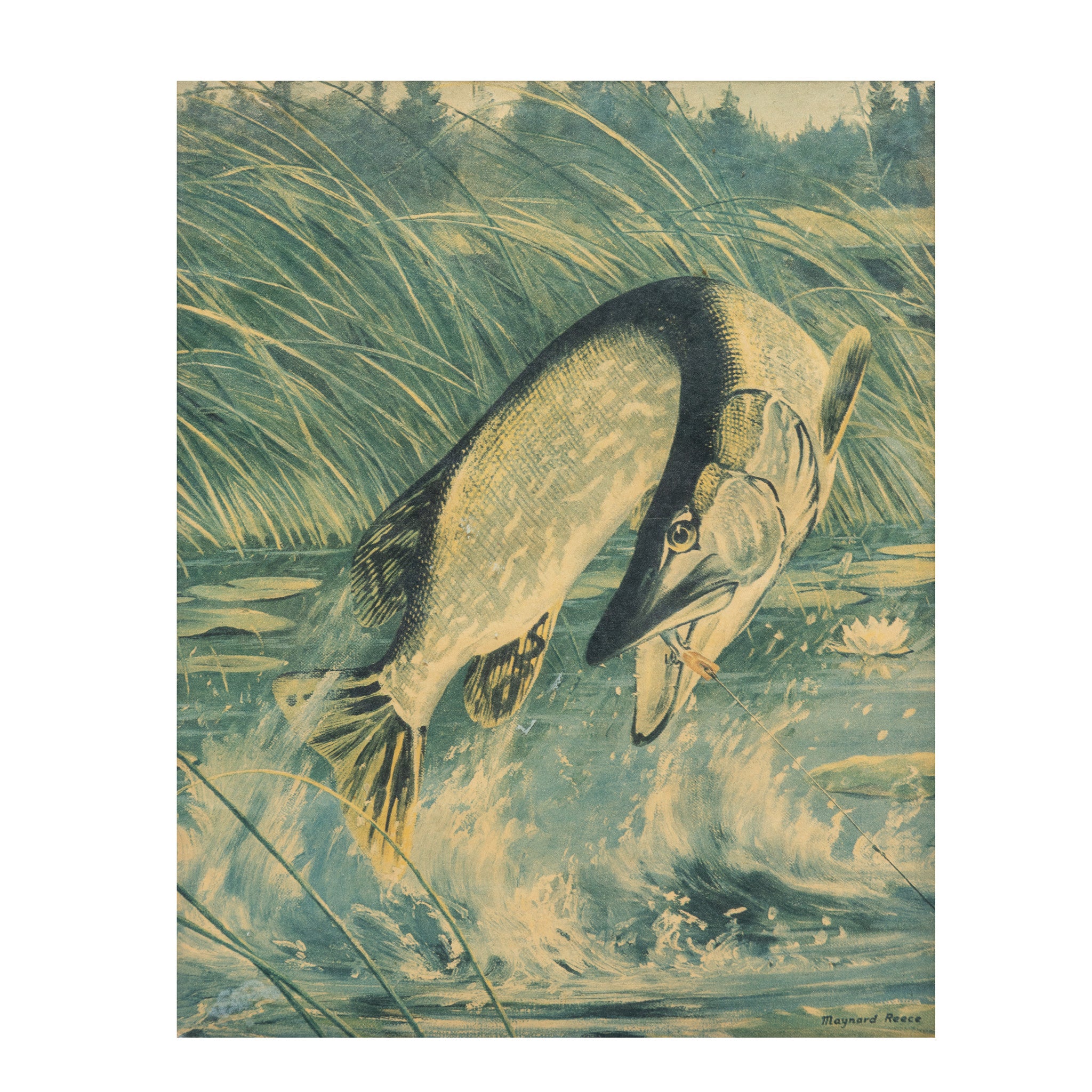 "Pike On" by Maynard Reese, Fine Art, Print, 