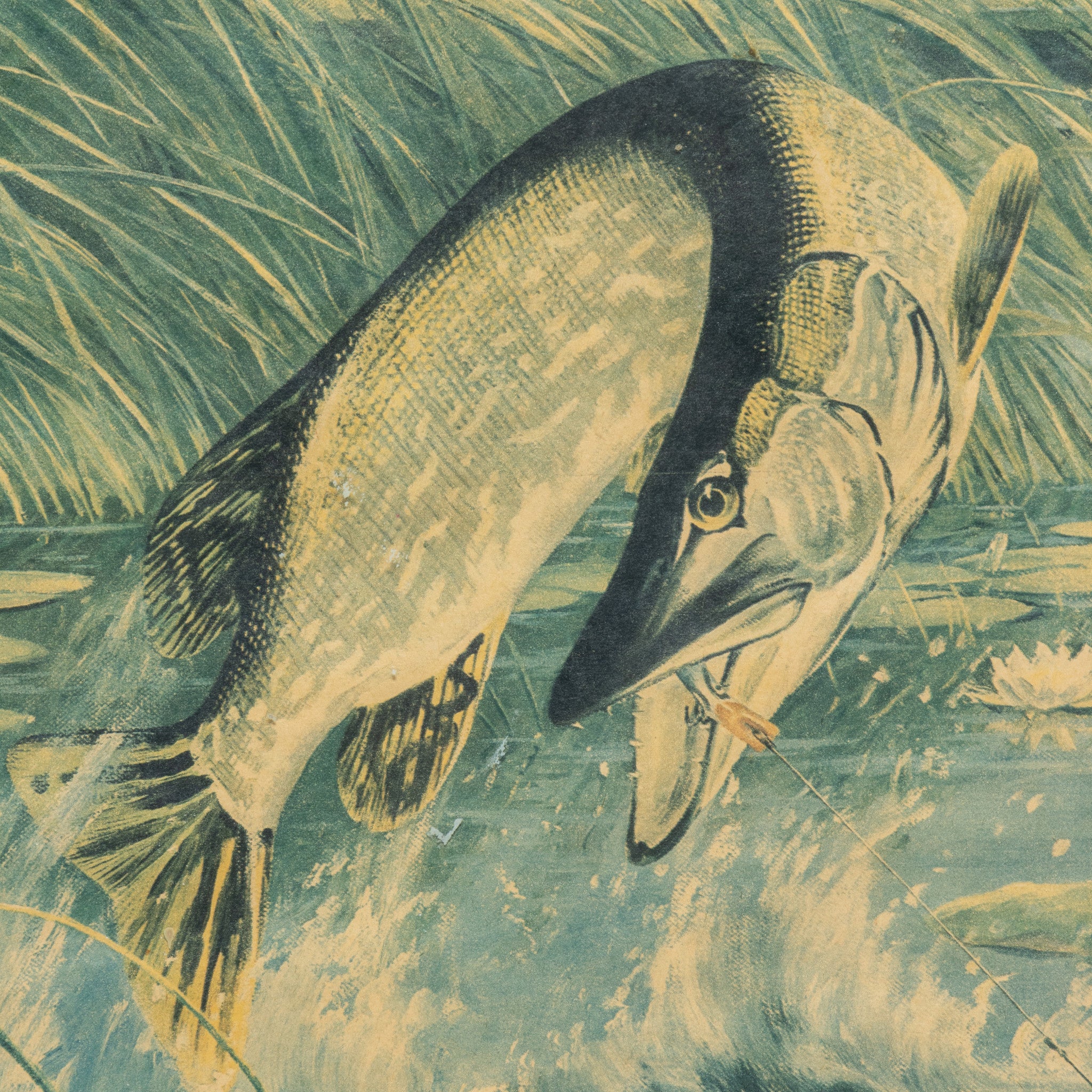 "Pike On" by Maynard Reese