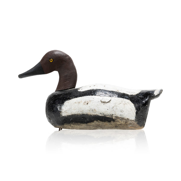 Canvasback Drake Decoy, Sporting Goods, Hunting, Waterfowl Decoy