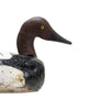 Canvasback Drake Decoy