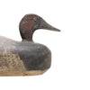 Canvasback Drake Decoy