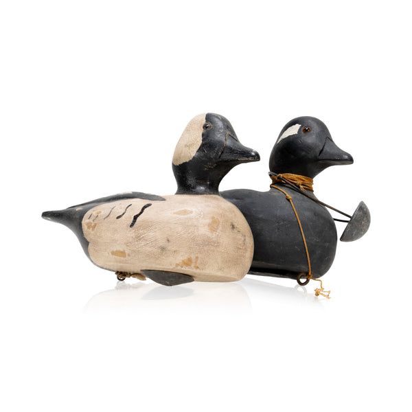 Tom Gorthardt Butterball Decoy Pair, Sporting Goods, Hunting, Waterfowl Decoy