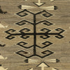 Natural Navajo Pictorial