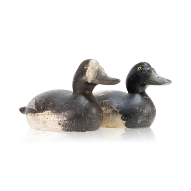 Mason Bluebill Pair Decoys, Sporting Goods, Hunting, Waterfowl Decoy