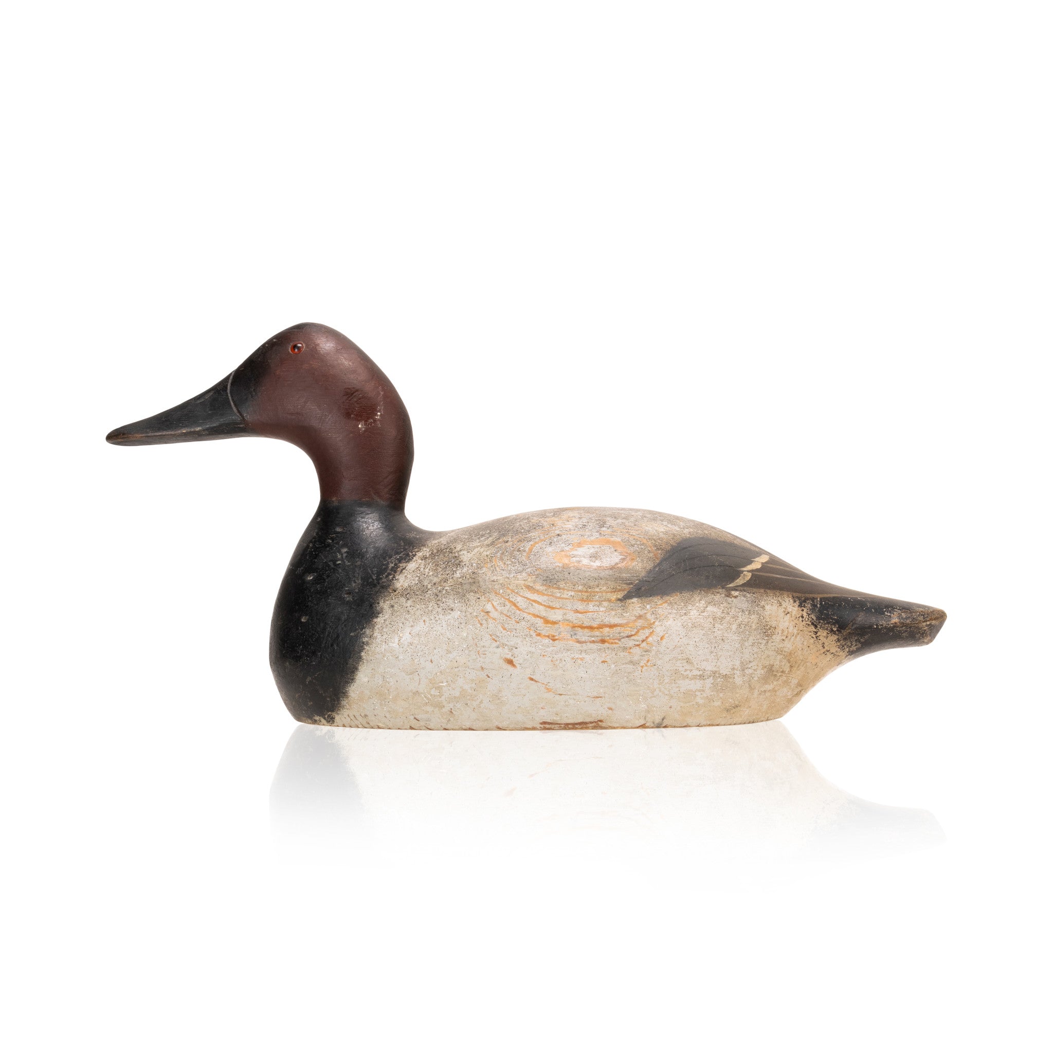 Evans Canvasback Drake Decoy, Sporting Goods, Hunting, Waterfowl Decoy