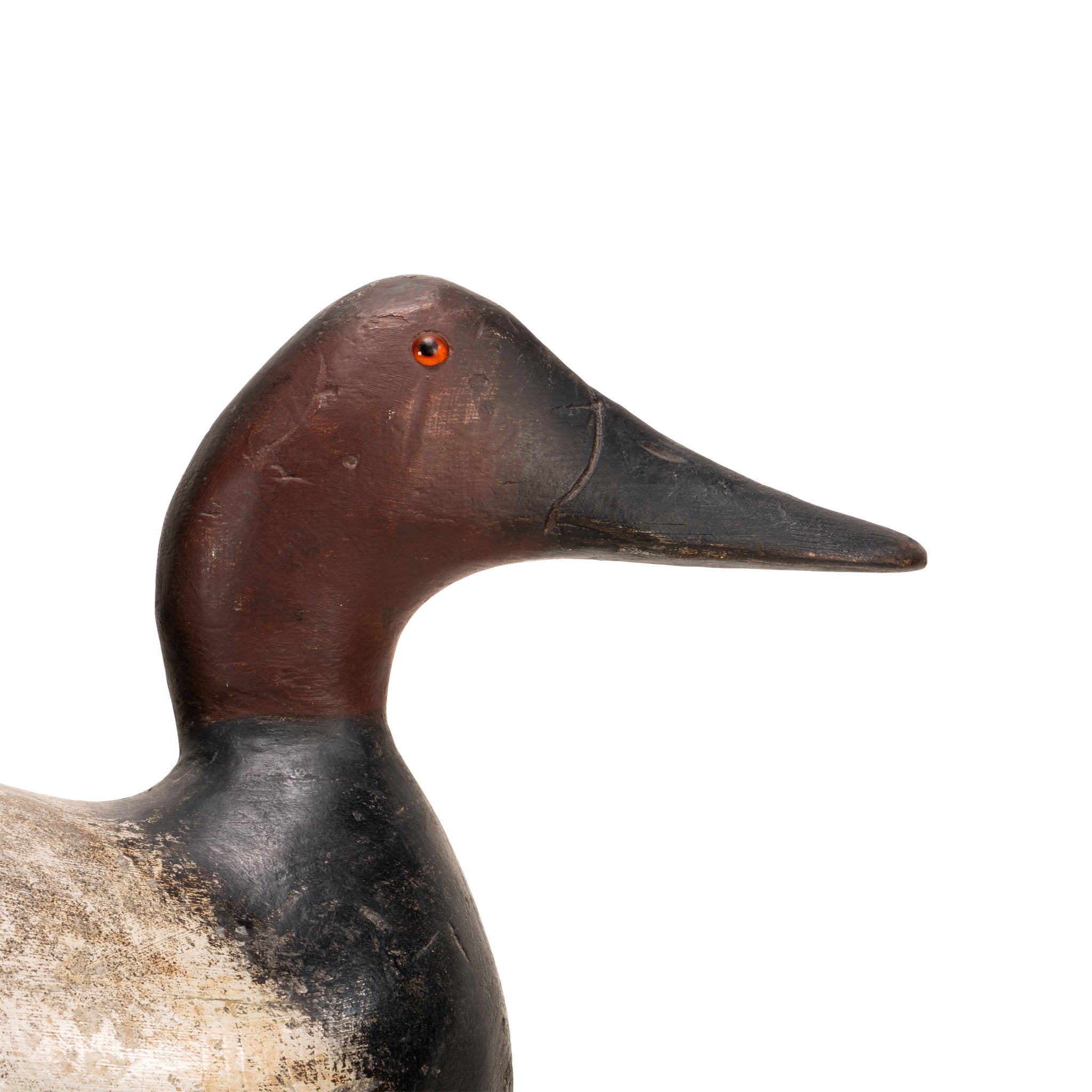 Evans Canvasback Drake Decoy