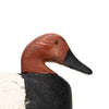 Canvasback Decoy
