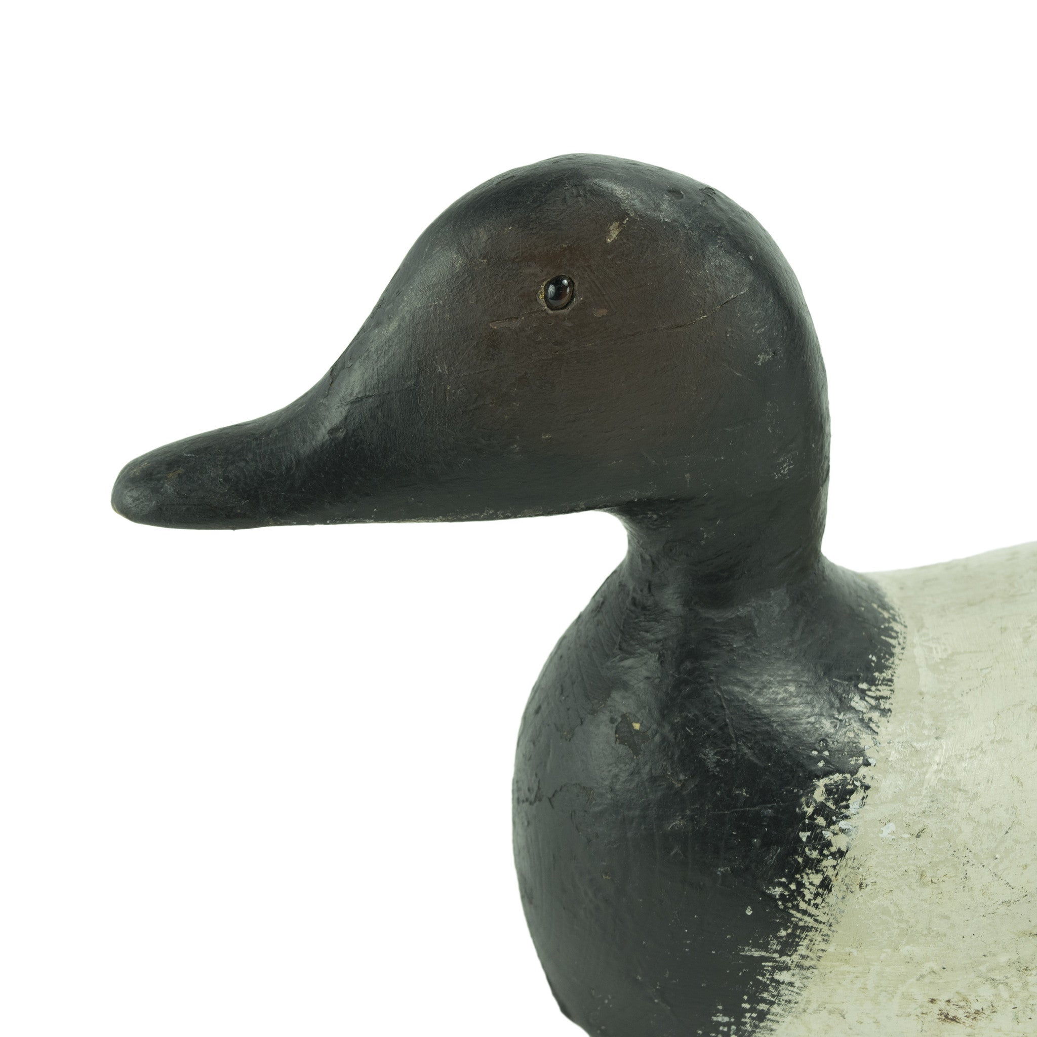 Canvasback Drake Decoy