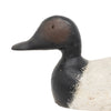 Canvasback Drake Decoy