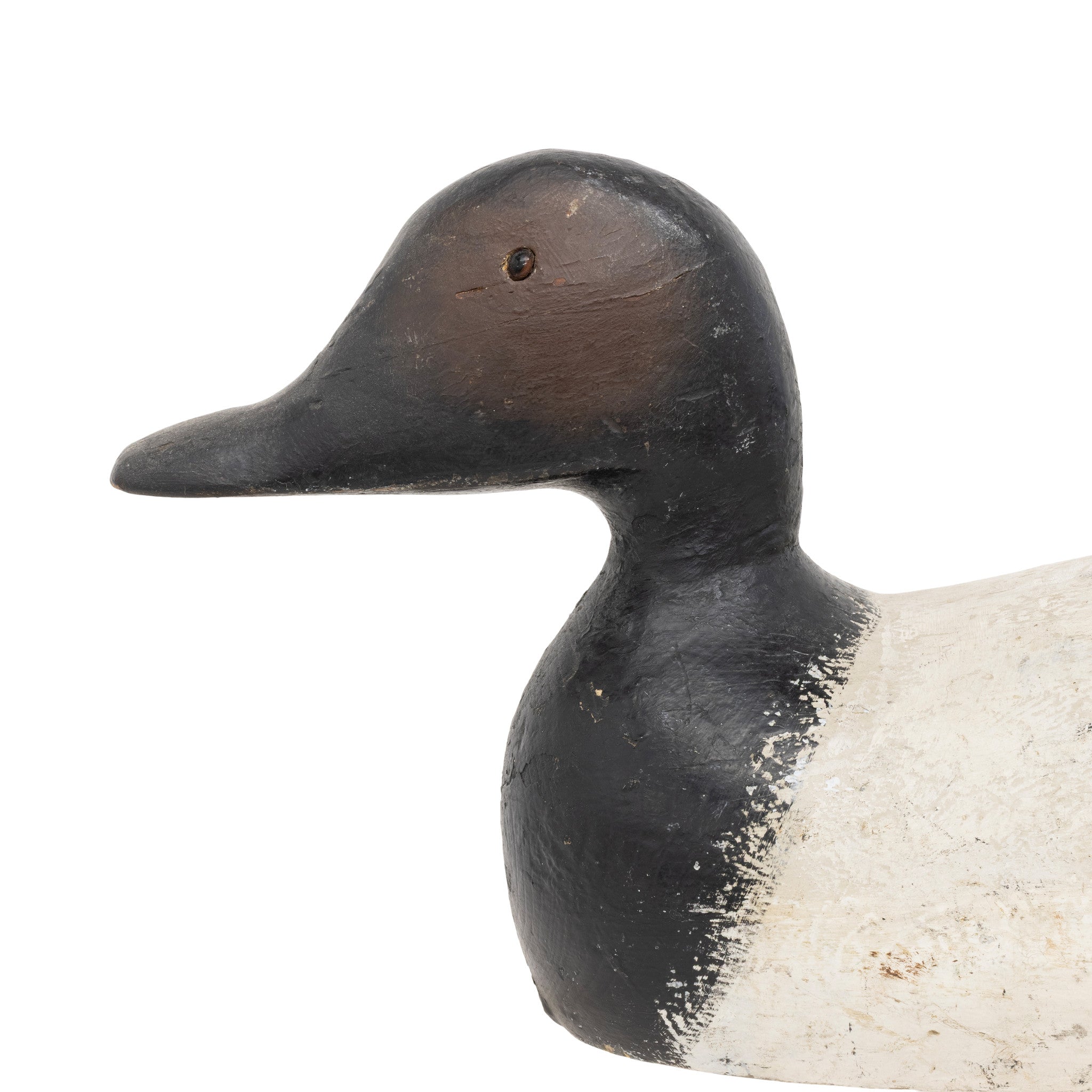 Canvasback Drake Decoy