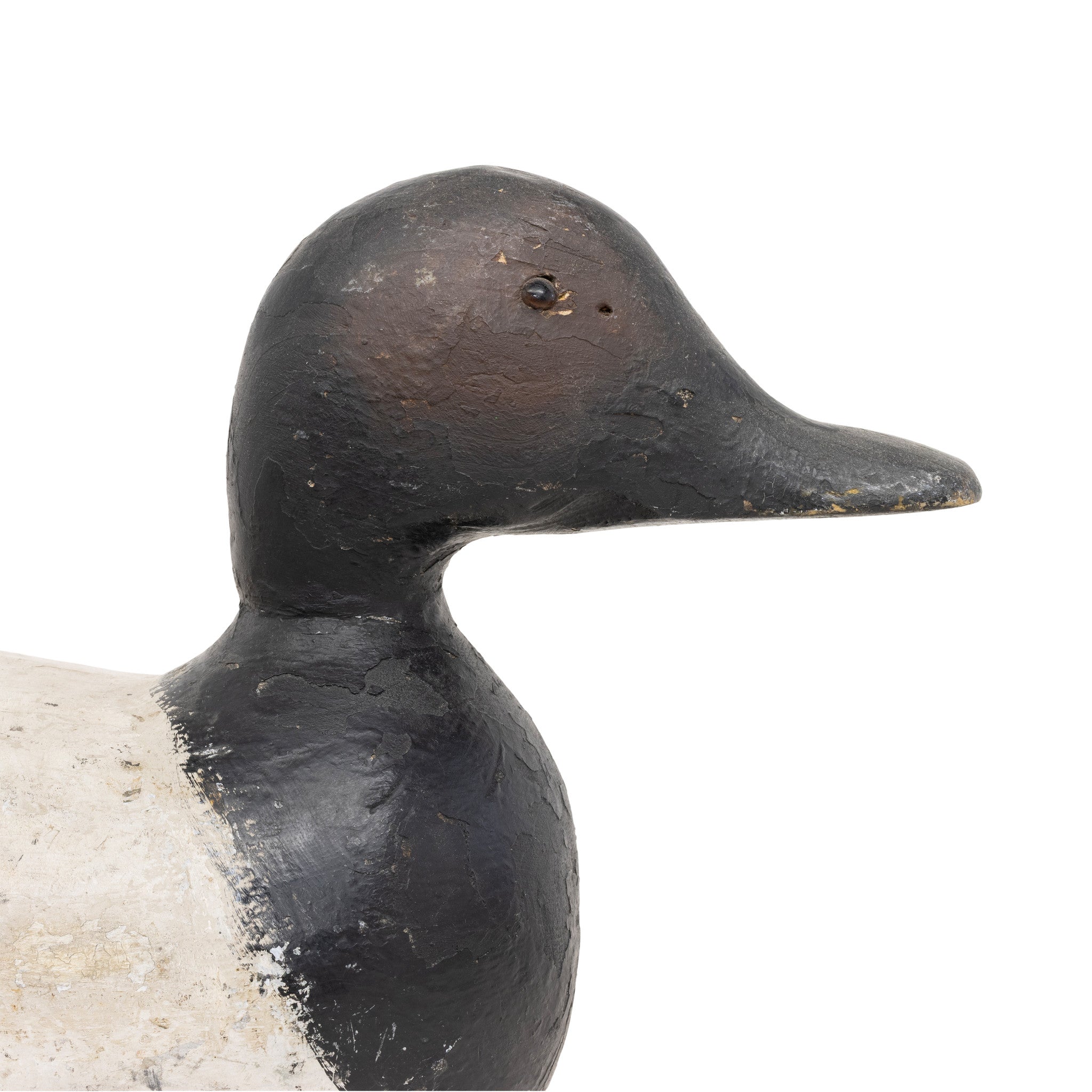 Canvasback Drake Decoy