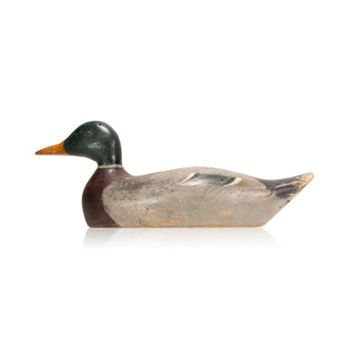 Mallard Drake Decoy, Sporting Goods, Hunting, Waterfowl Decoy
