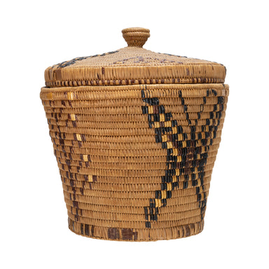Salish Lidded Basket, Native, Basketry, Vertical