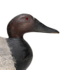 Mason Canvasback Decoy