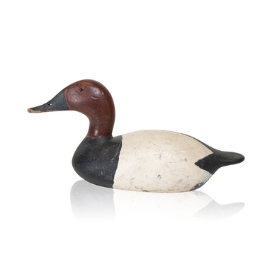 Canvasback Drake Decoy, Sporting Goods, Hunting, Waterfowl Decoy