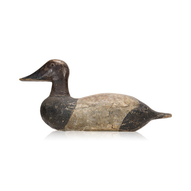 Green Bay Canvasback Decoy, Sporting Goods, Hunting, Waterfowl Decoy