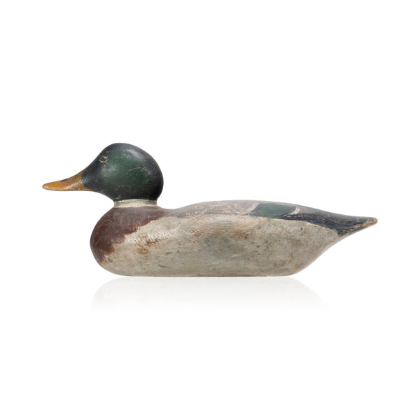 Mason Mallard Drake Decoy, Sporting Goods, Hunting, Waterfowl Decoy