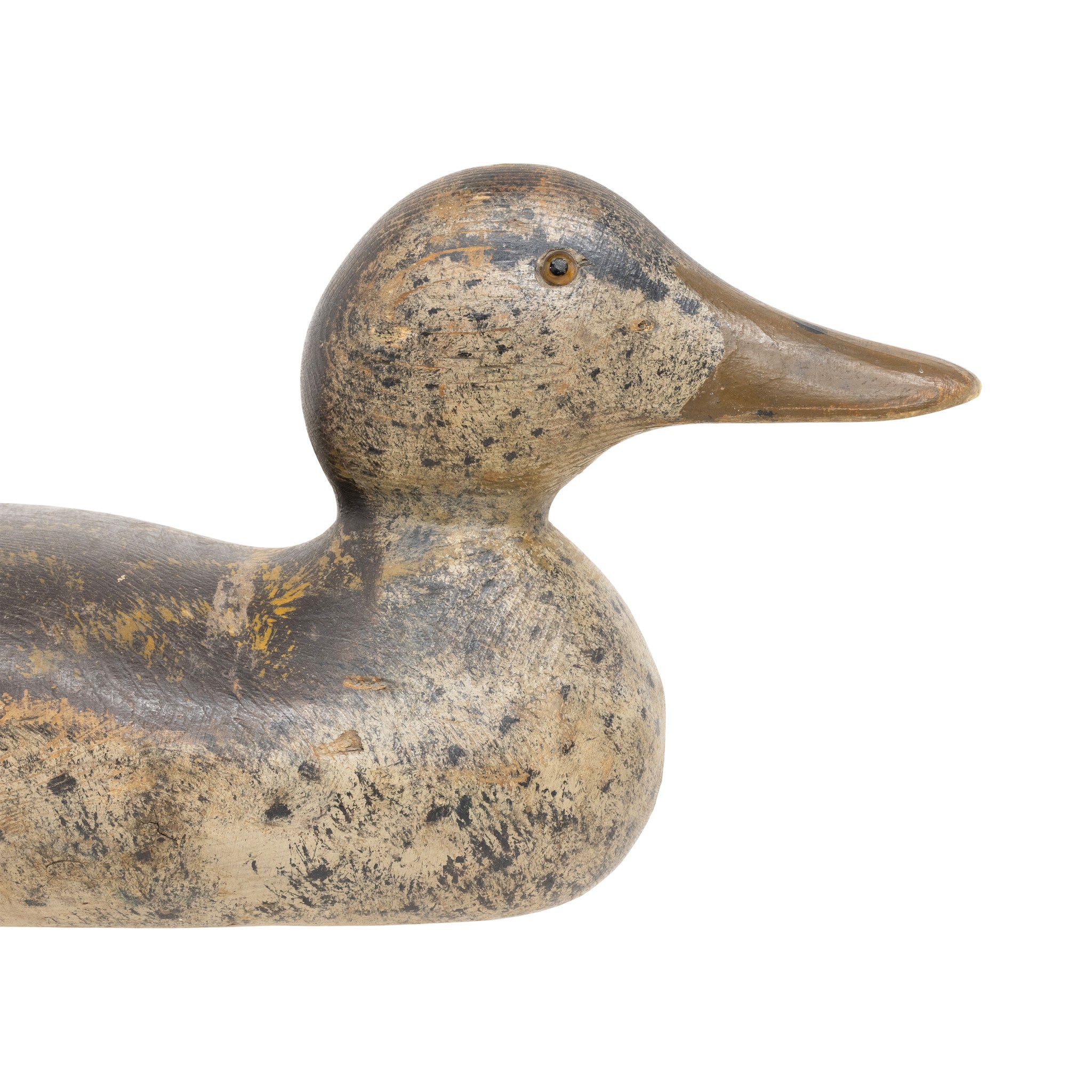 Hays Mallard Hen