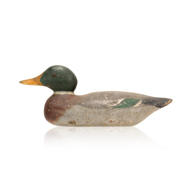 Mason Mallard Decoy, Sporting Goods, Hunting, Waterfowl Decoy