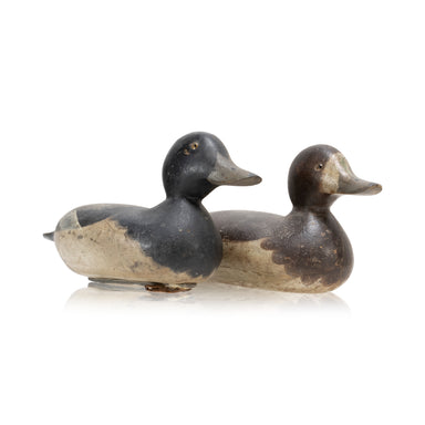 Mason Bluebill Decoy Pair, Sporting Goods, Hunting, Waterfowl Decoy