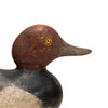Mason Redhead Decoy