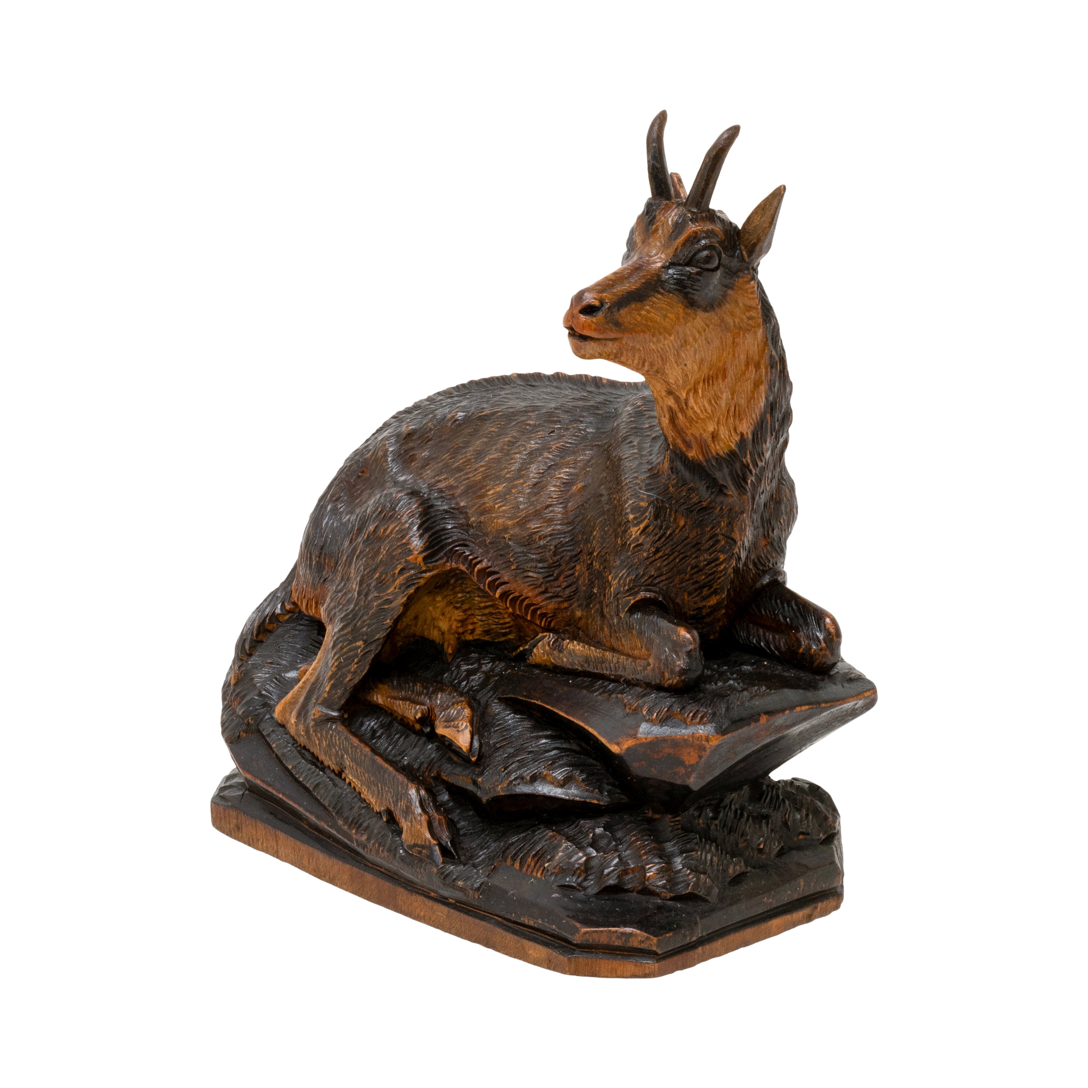 Black Forest Chamois