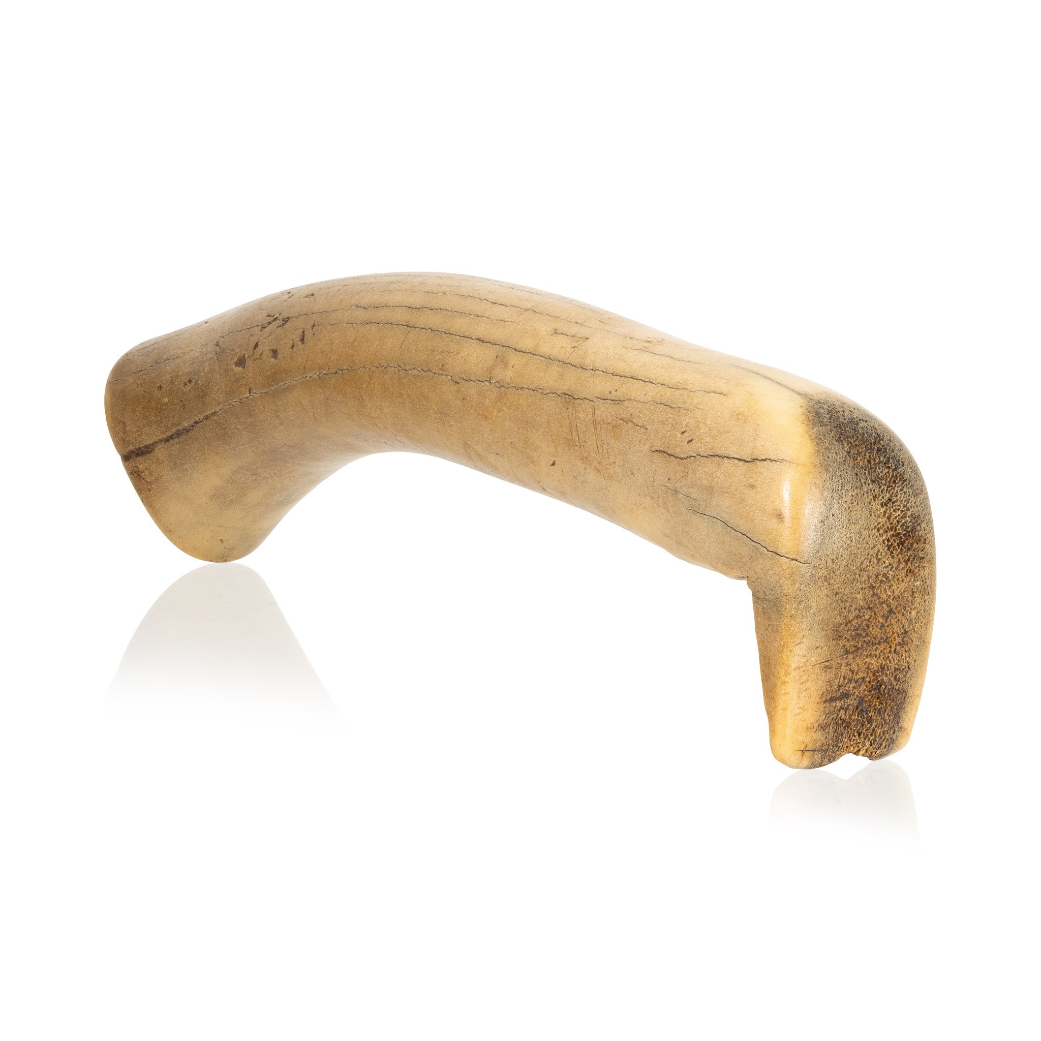 Elk Antler Hide Scraper, Native, Stone and Tools, Hide Scraper
