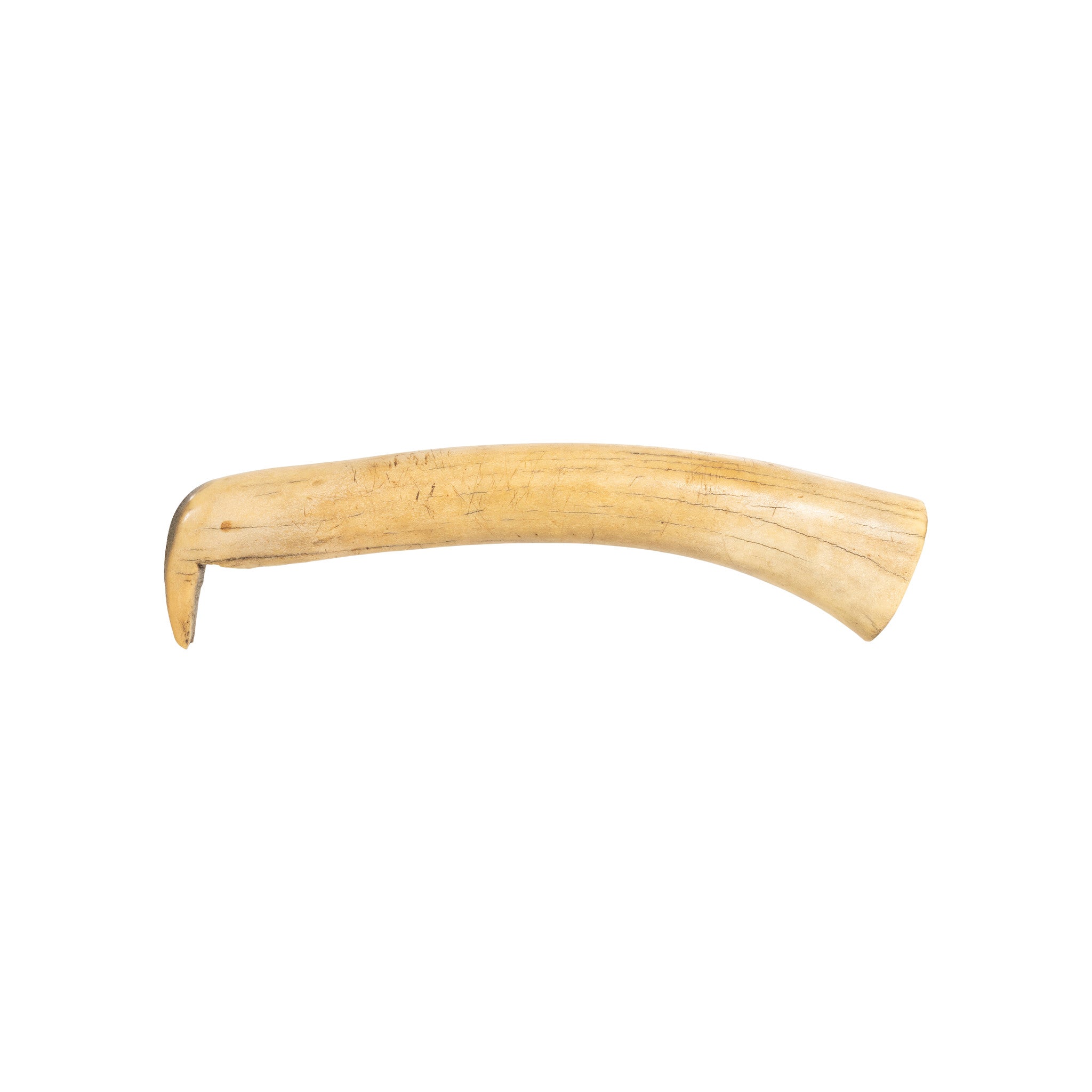 Elk Antler Hide Scraper