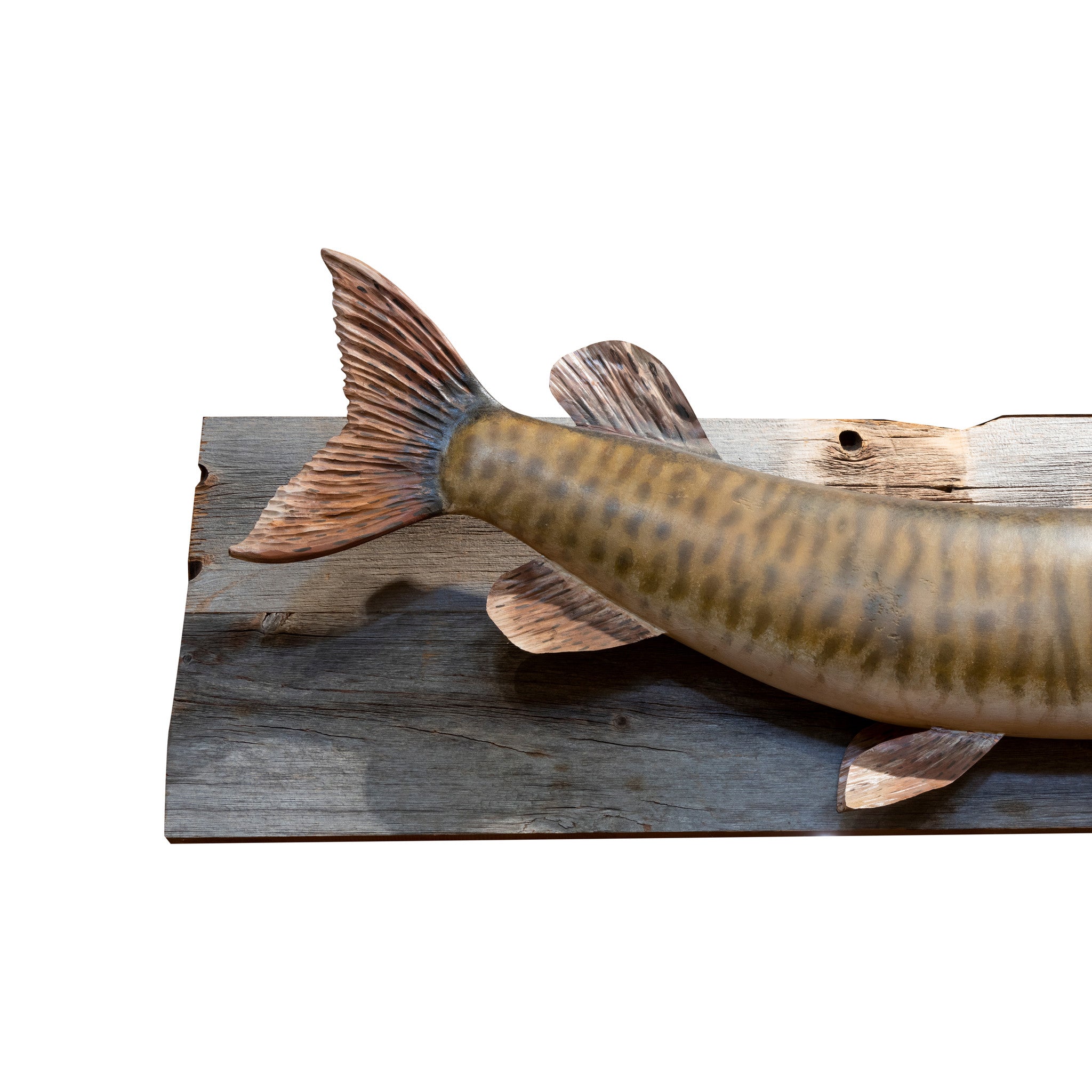 Carved and Painted Muskie Mount