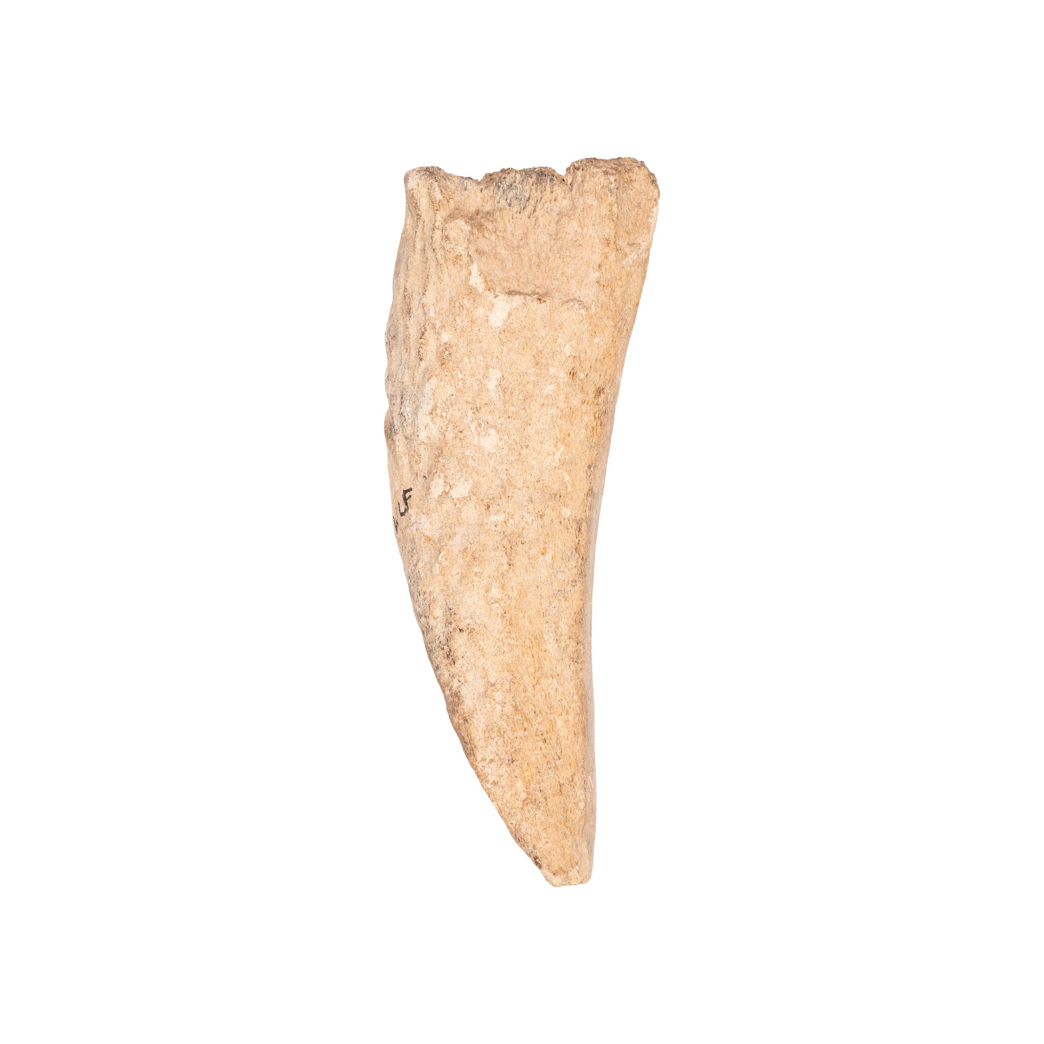 Elk Antler Gouge