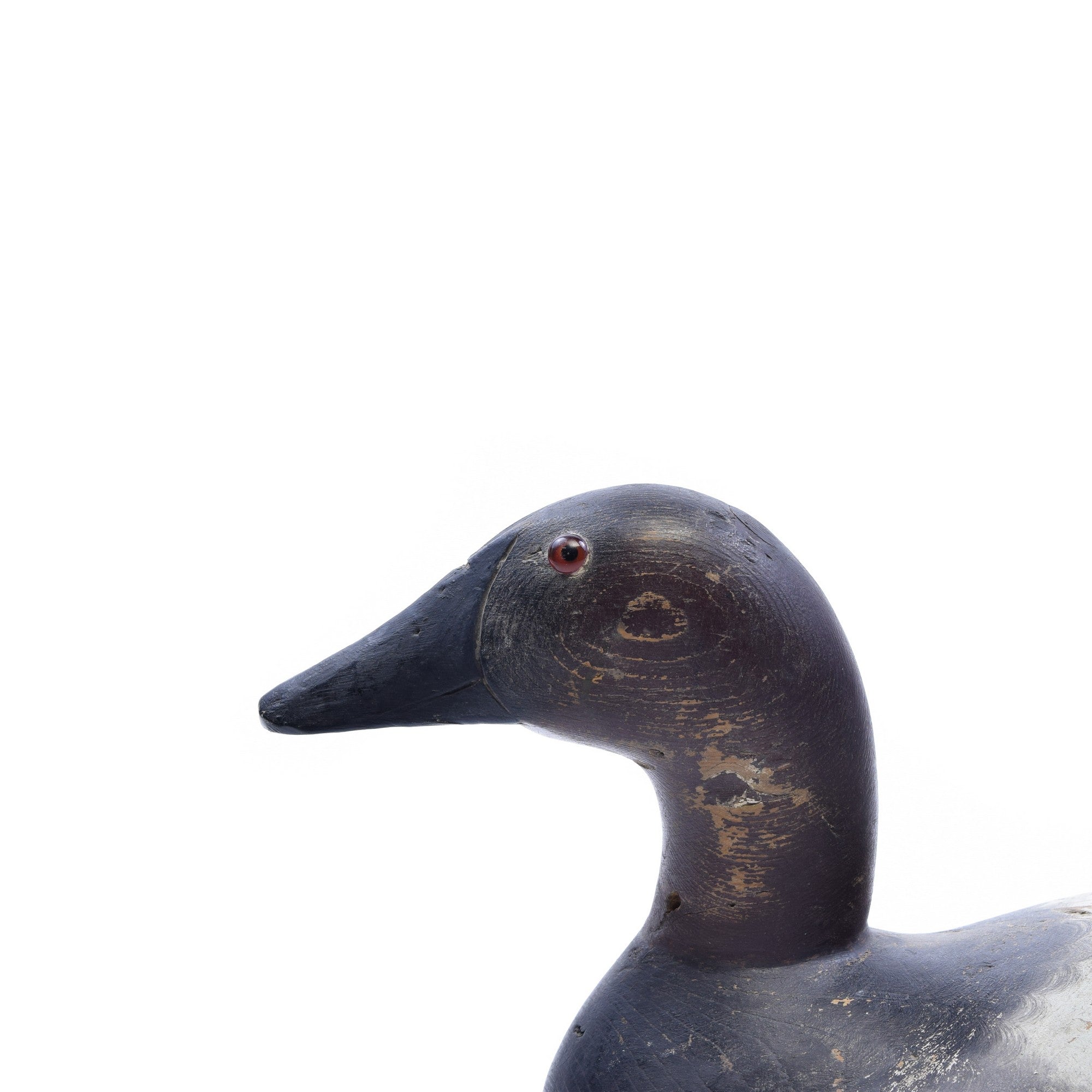 Mason Canvasback Drake Decoy