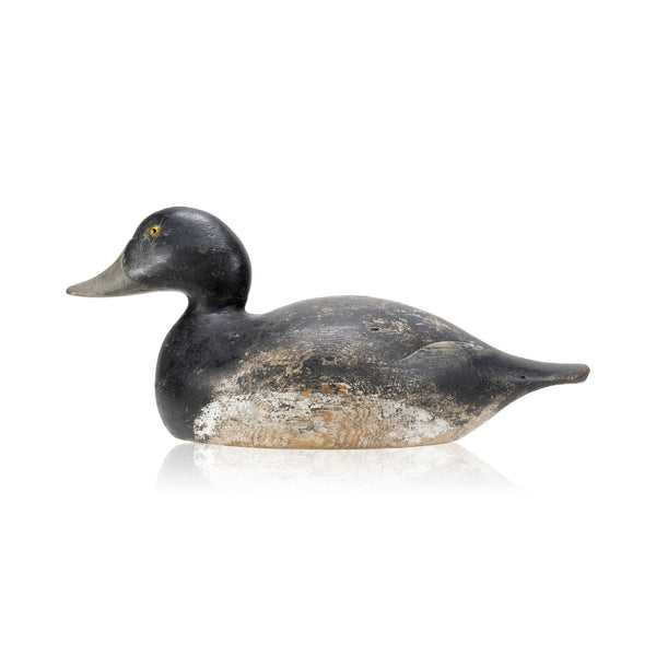 Hayes Bluebill Drake Decoy, Sporting Goods, Hunting, Waterfowl Decoy